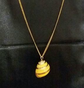 Sea Shell Pendant with 24k Gold Plating Detail